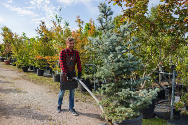 Best Tree Removal Near Me  in Hamburg, NJ